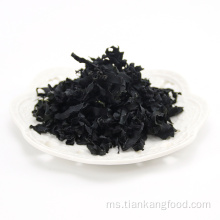 Wakame Nori Rumput Rumput Rumput Nori kering